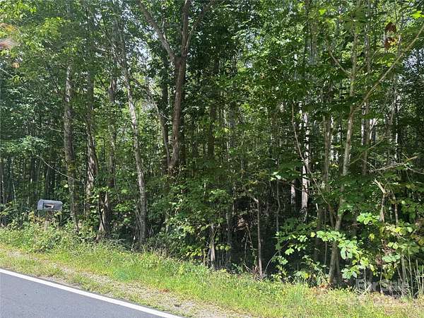 19.5 Acres of Recreational & Residential Land for Sale in Lenoir, North Carolina