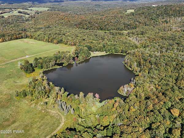 54 Acres of Recreational Land for Sale in Pleasant Mount, Pennsylvania