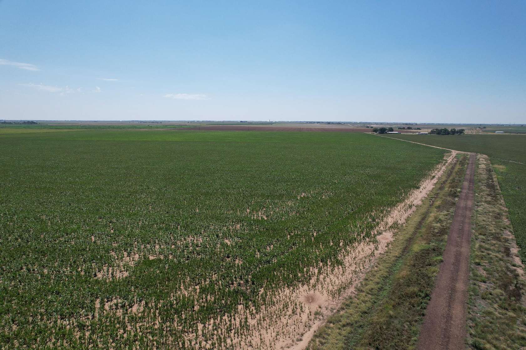 577 Acres of Agricultural Land for Sale in Idalou, Texas