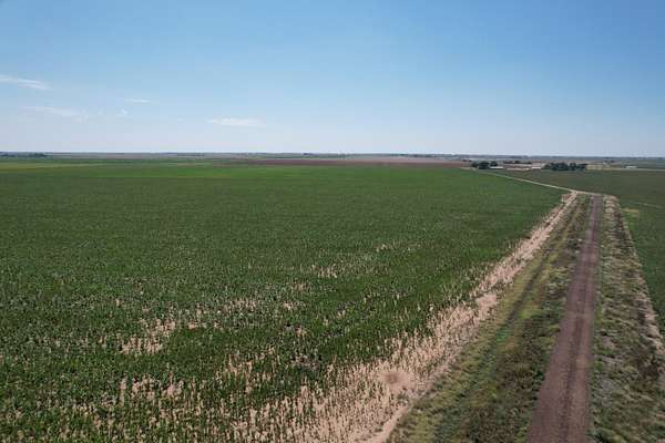 577 Acres of Agricultural Land for Sale in Idalou, Texas