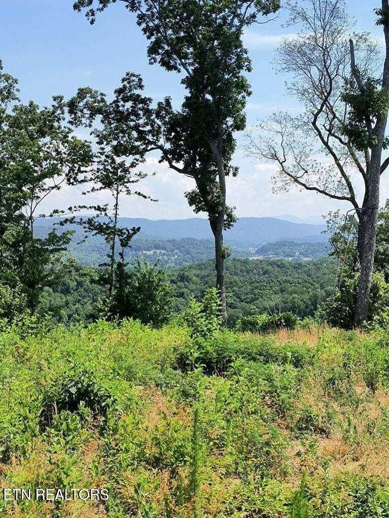 14 Acres of Agricultural Land for Sale in Harriman, Tennessee