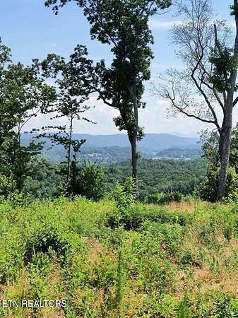 14 Acres of Agricultural Land for Sale in Harriman, Tennessee