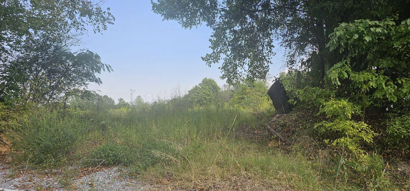 5.57 Acres of Land for Sale in Cunningham, Tennessee