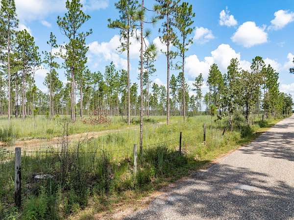Residential Land for Sale in Lumberton, Mississippi