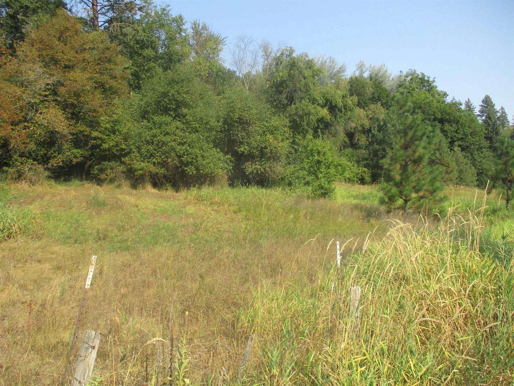 7 Acres of Residential Land for Sale in Chattaroy, Washington