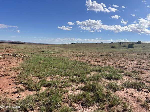 36 Acres of Agricultural Land for Sale in Concho, Arizona