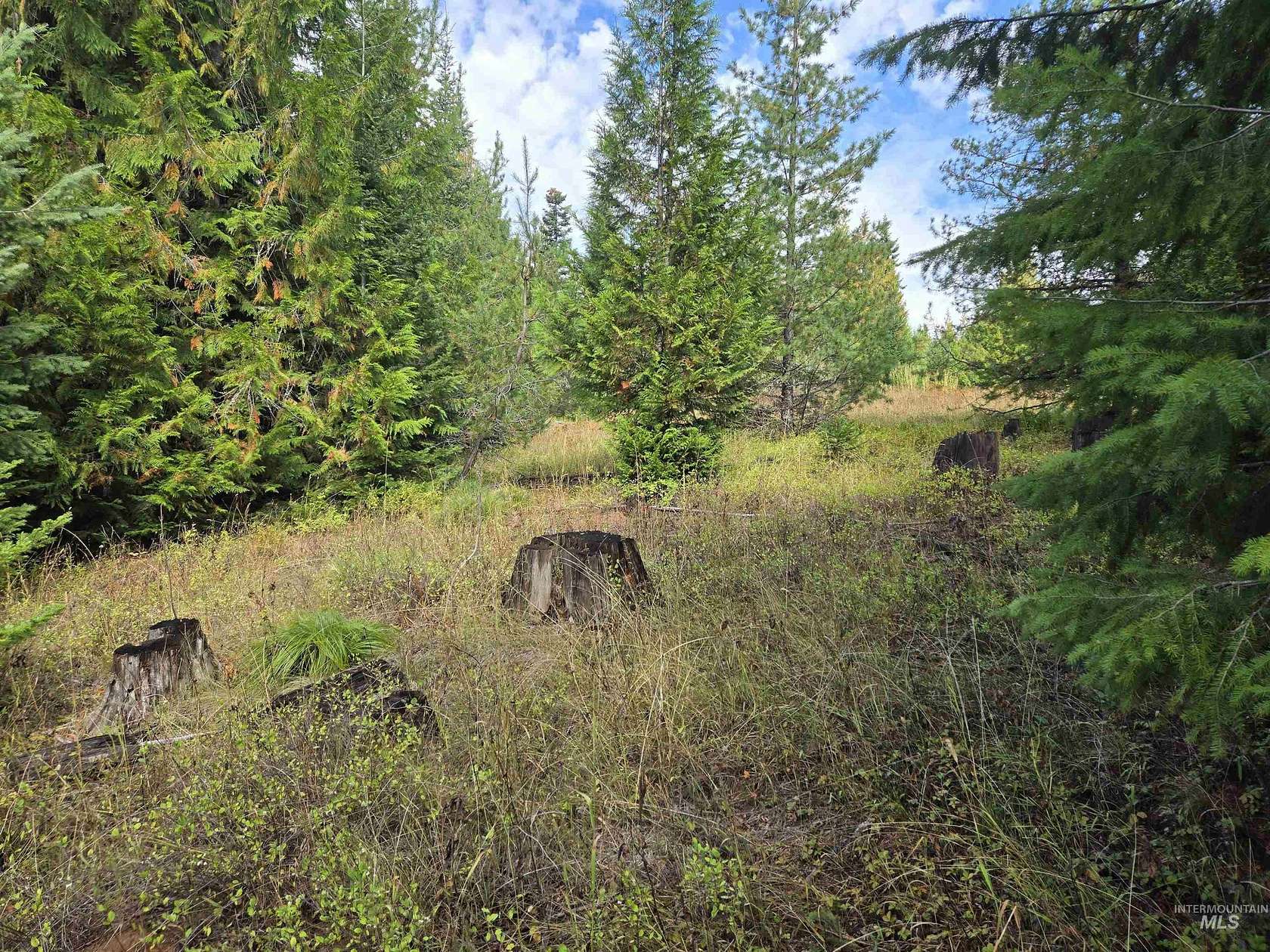 5 Acres of Residential Land for Sale in Weippe, Idaho