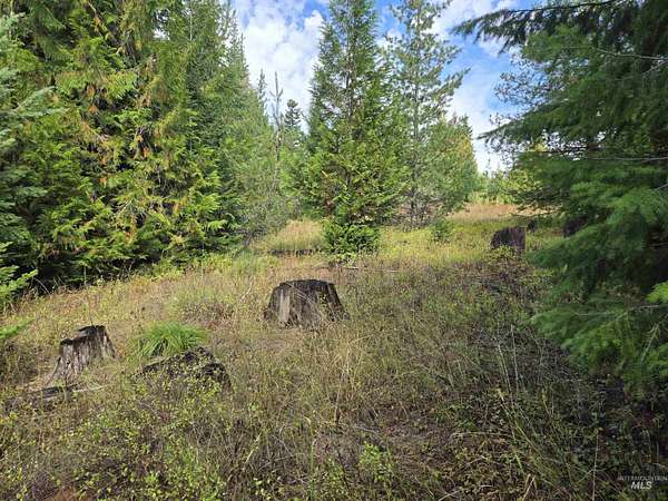 5 Acres of Residential Land for Sale in Weippe, Idaho