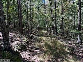 10.5 Acres of Recreational Land for Sale in Gerrardstown, West Virginia