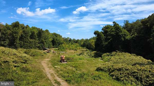 19.5 Acres of Mixed-Use Land for Sale in Frankford, Delaware