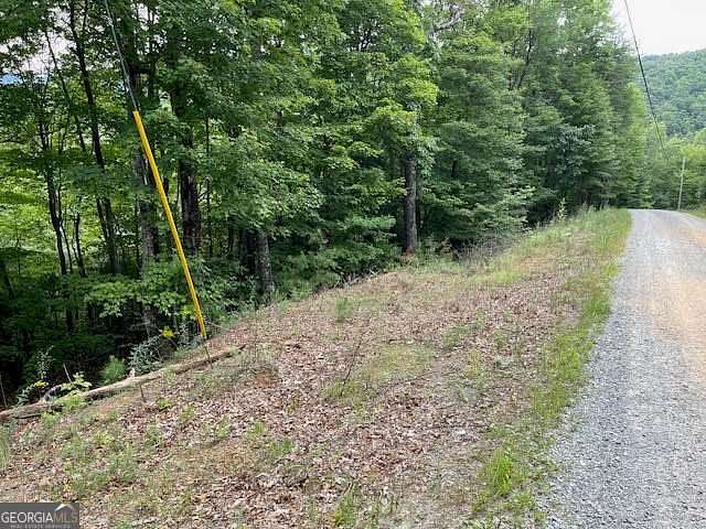 2 Acres of Residential Land for Sale in Ellijay, Georgia