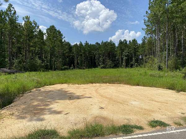 10 Acres of Residential Land for Sale in Atmore, Alabama