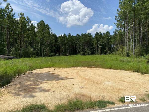 10 Acres of Residential Land for Sale in Atmore, Alabama