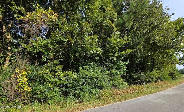 0.7 Acres of Residential Land for Sale in Grifton, North Carolina