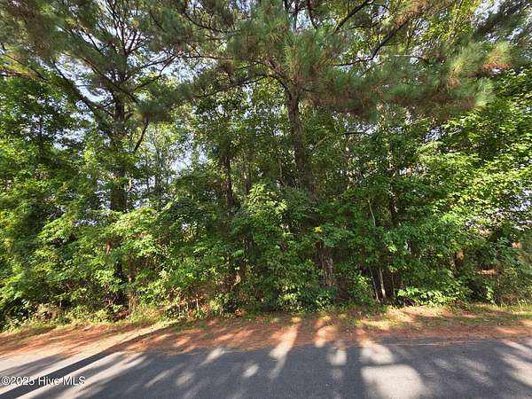 0.46 Acres of Residential Land for Sale in Grifton, North Carolina