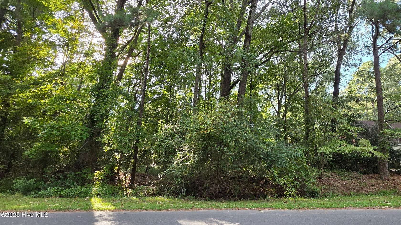 0.28 Acres of Residential Land for Sale in Grifton, North Carolina