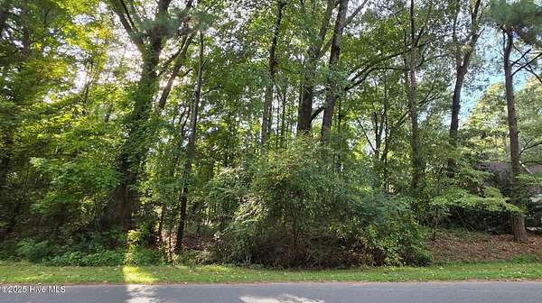 0.28 Acres of Residential Land for Sale in Grifton, North Carolina