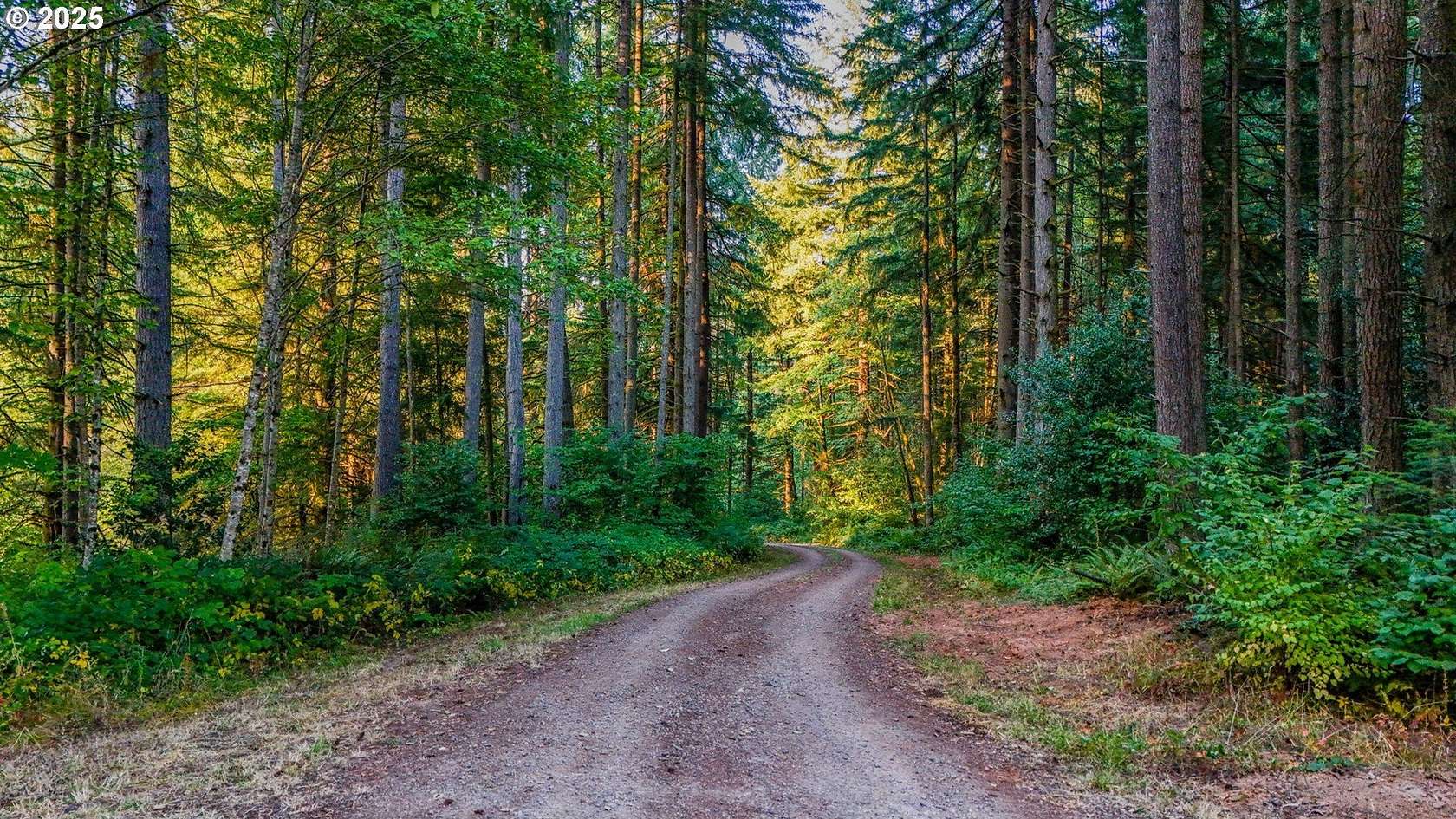 40 Acres of Land for Sale in Woodland, Washington