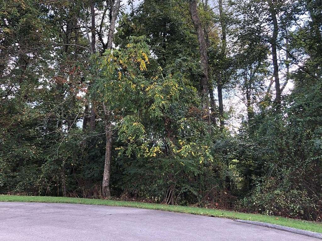 1.53 Acres of Residential Land for Sale in Bristol, Virginia