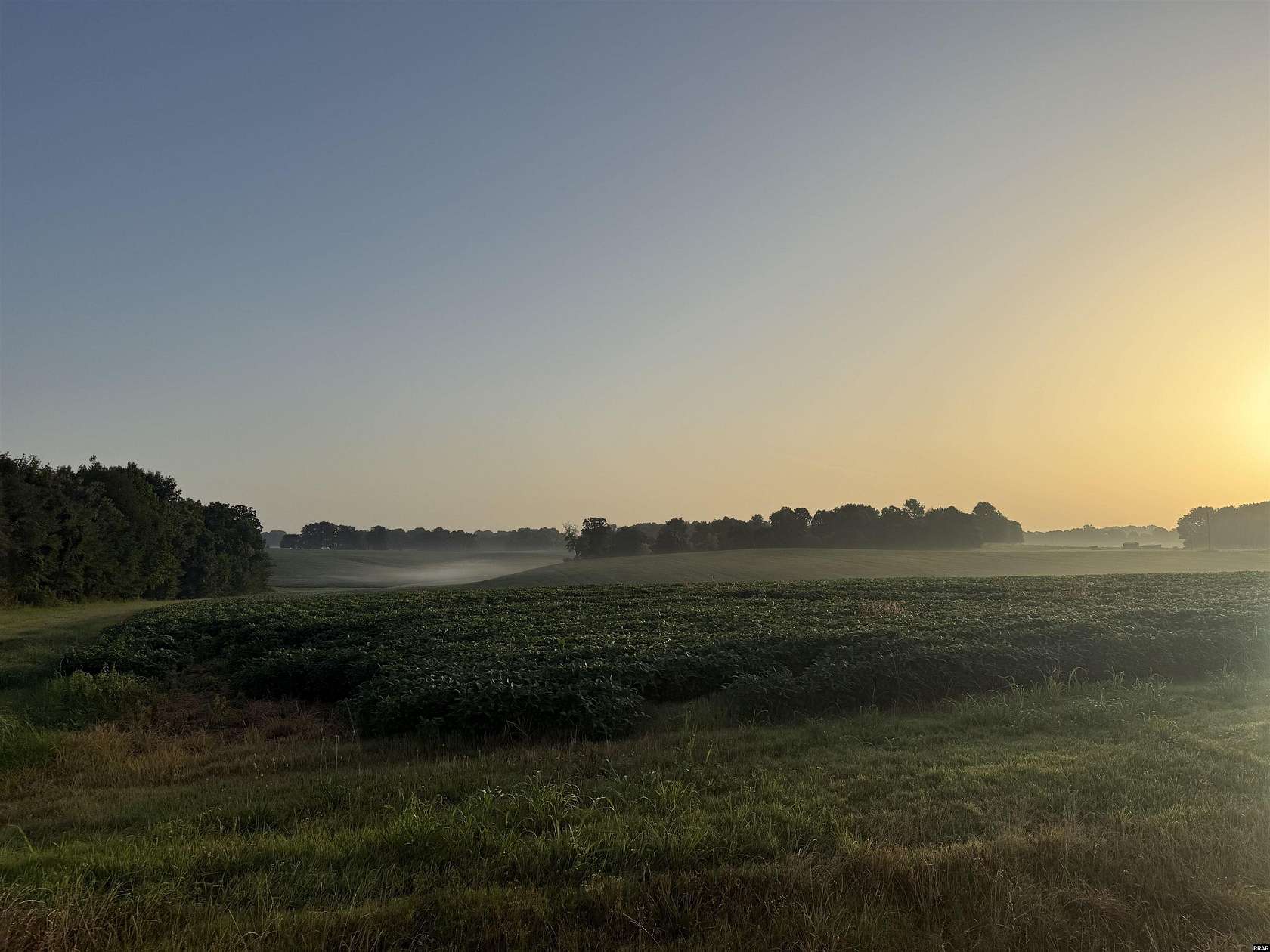 81 Acres of Land for Sale in Union City, Tennessee