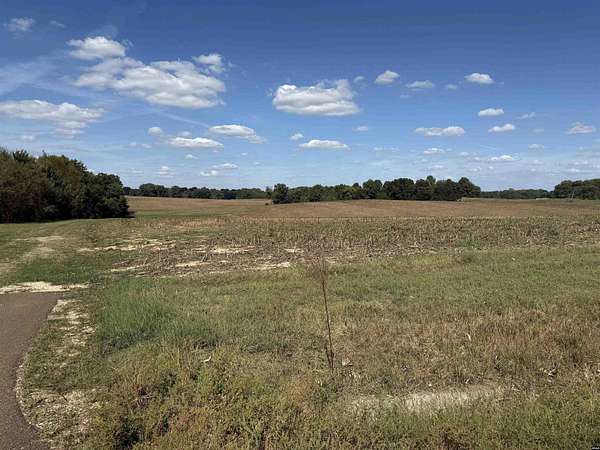 81 Acres of Land for Sale in Union City, Tennessee