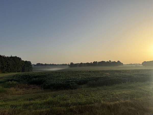 81 Acres of Land for Sale in Union City, Tennessee