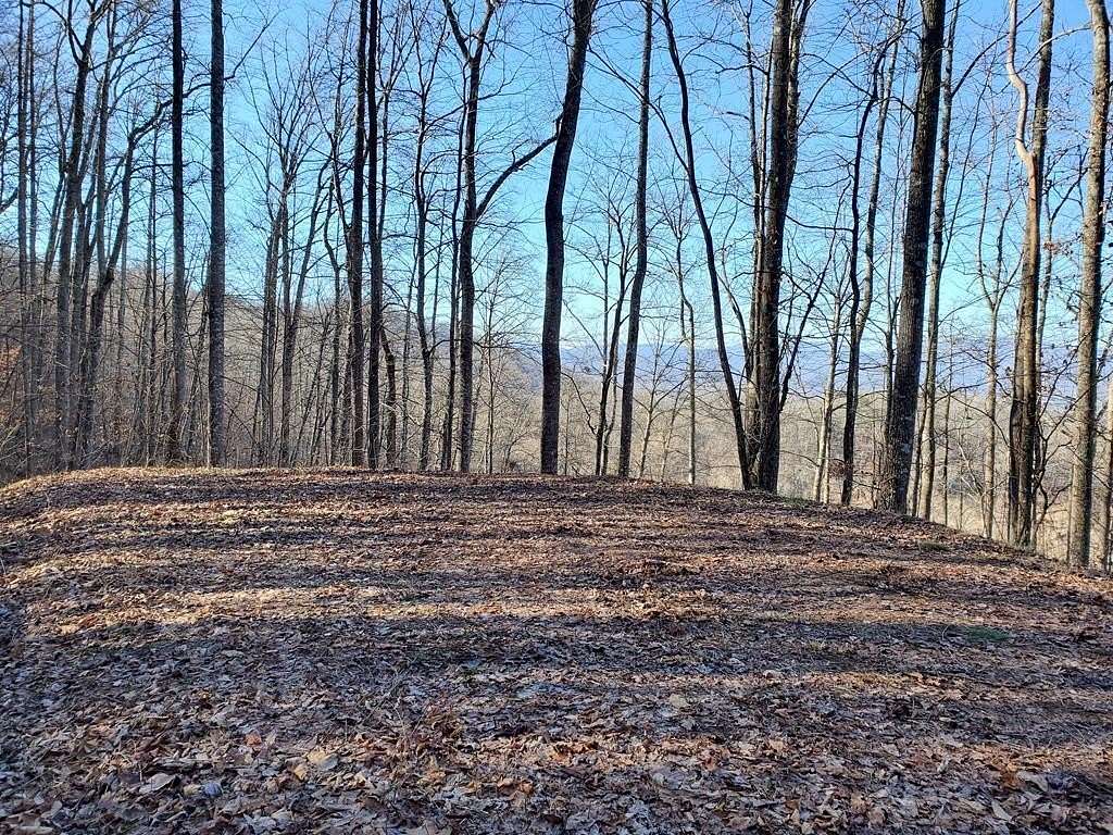 2.13 Acres of Residential Land for Sale in Ellijay Township, North Carolina