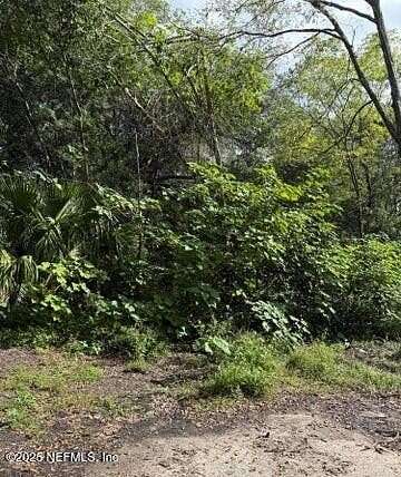 0.23 Acres of Residential Land for Sale in Jacksonville, Florida