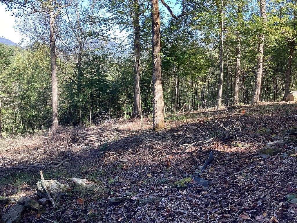 1.42 Acres of Residential Land for Sale in Hiawassee, Georgia