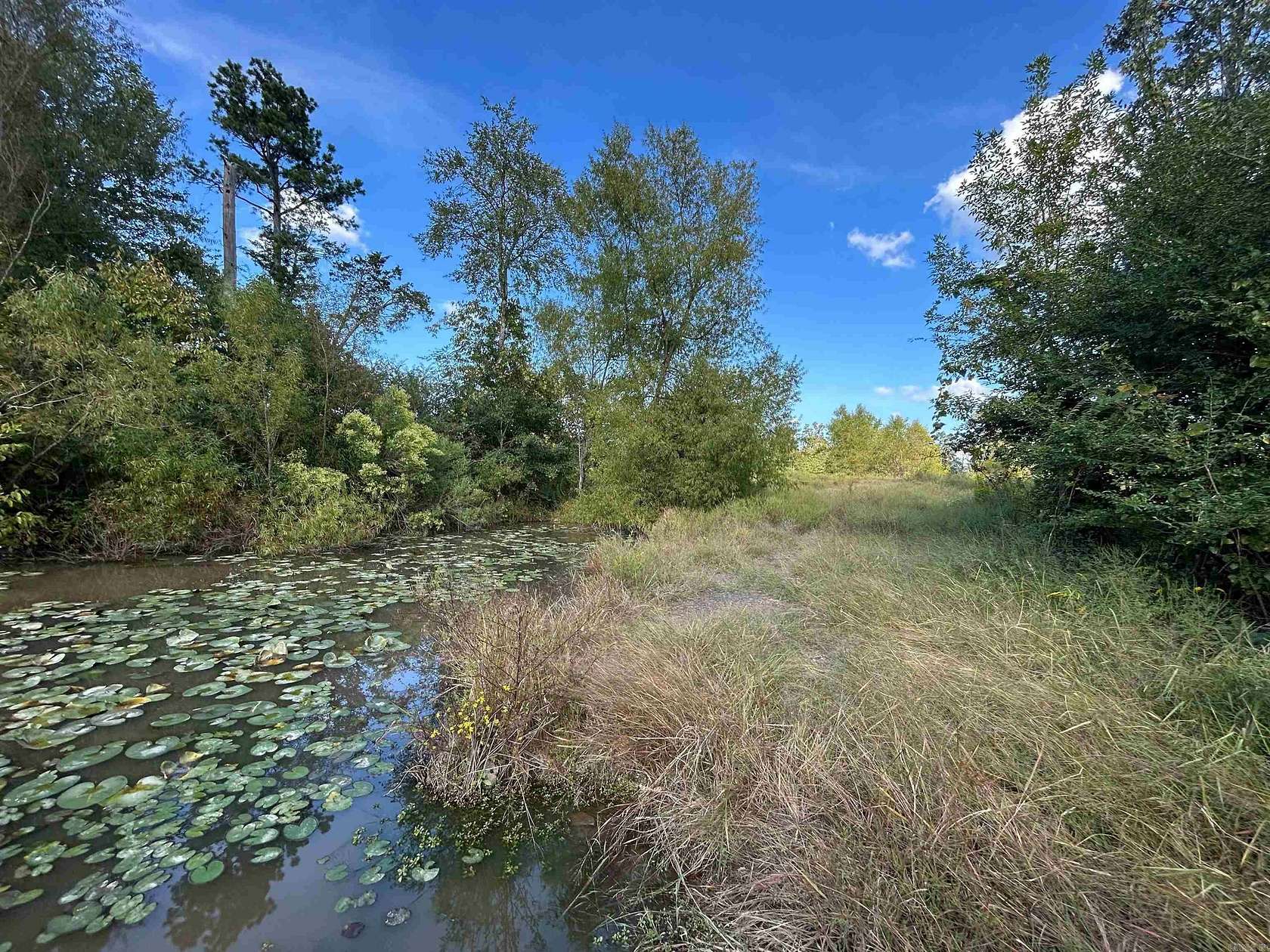 12.2 Acres of Recreational Land & Farm for Sale in Mena, Arkansas