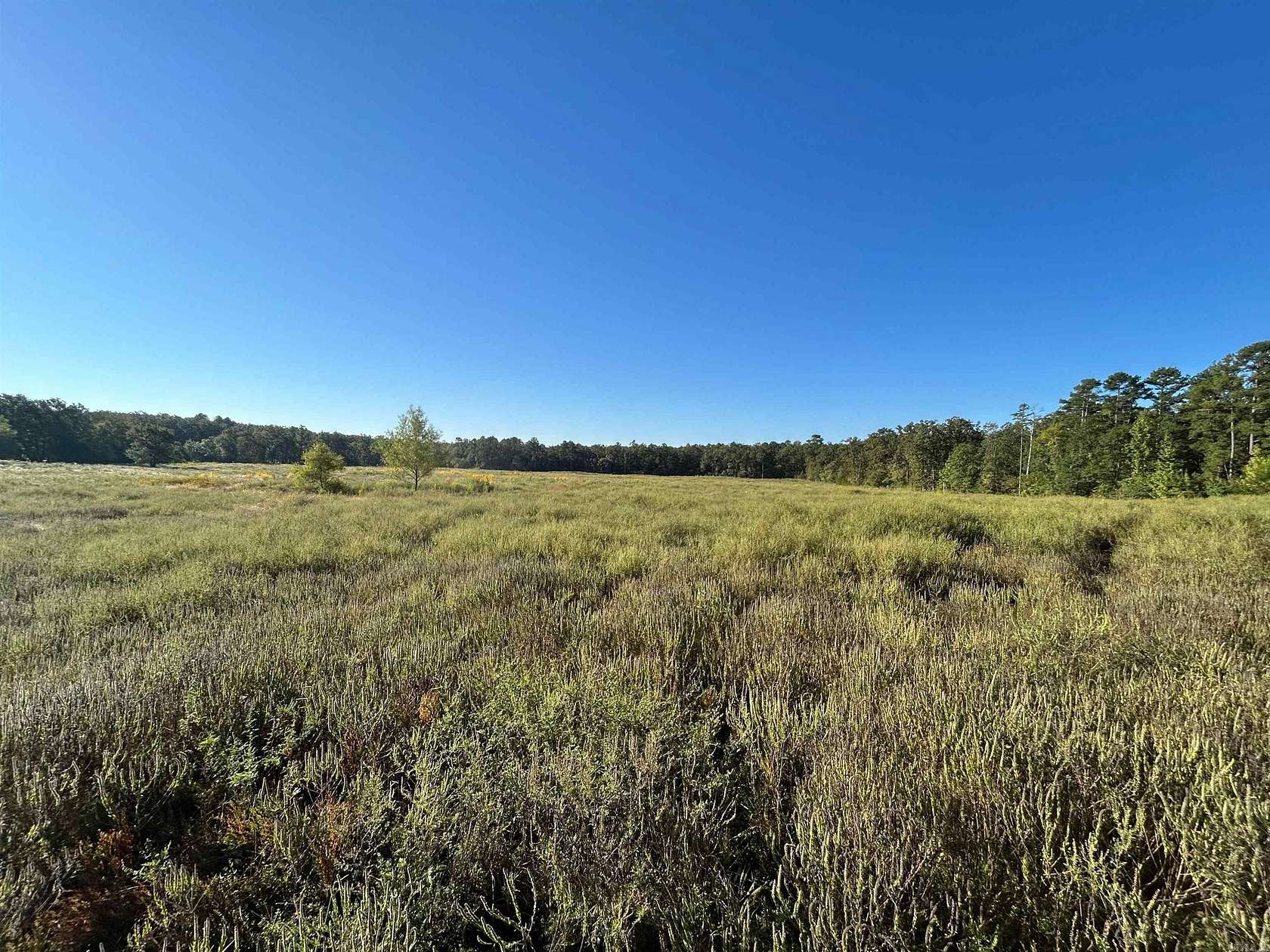 22.5 Acres of Land for Sale in Mena, Arkansas