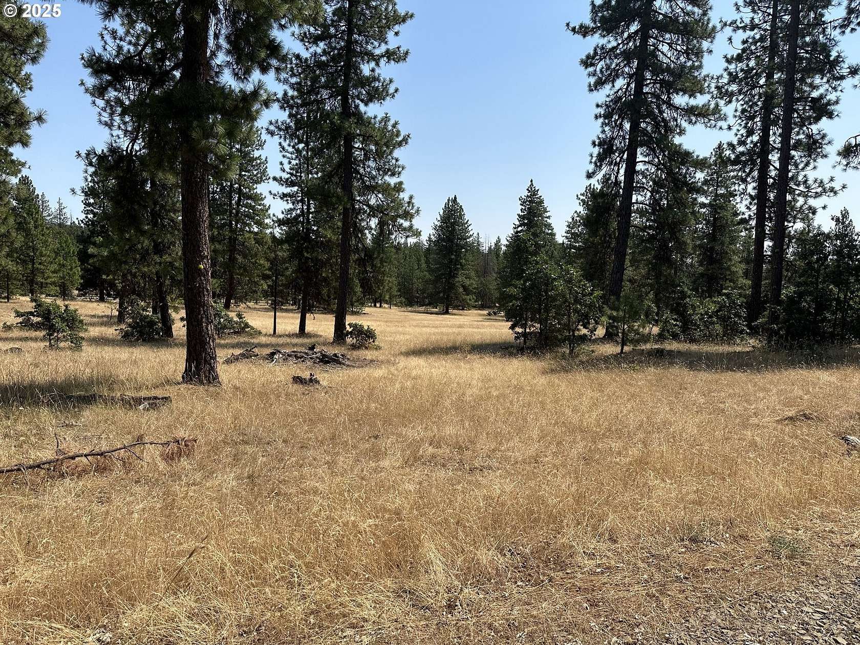 80 Acres of Land for Sale in Goldendale, Washington