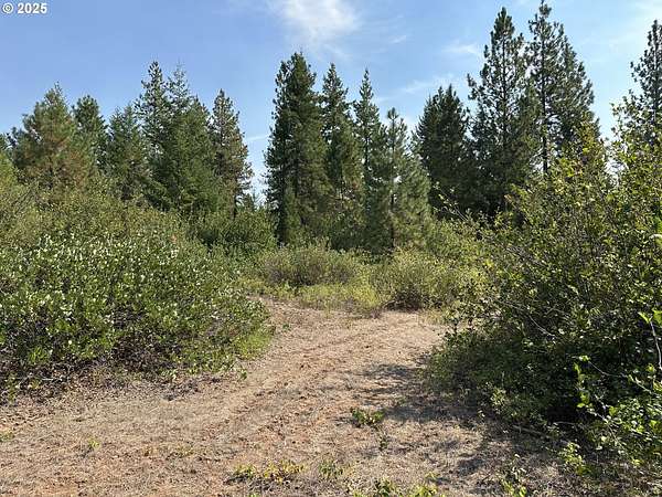 101 Acres of Recreational Land & Farm for Sale in Goldendale, Washington