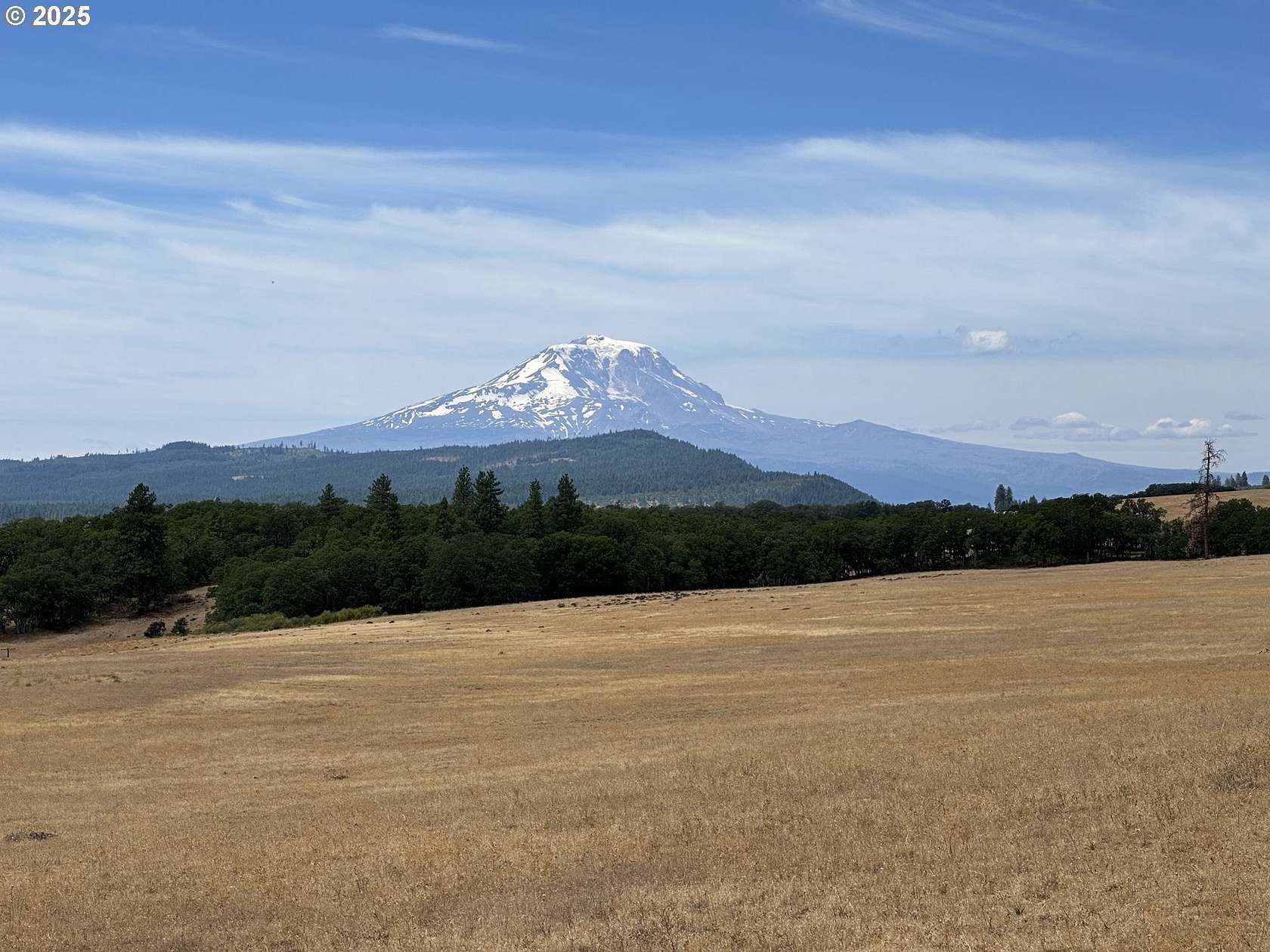 80 Acres of Land for Sale in Goldendale, Washington