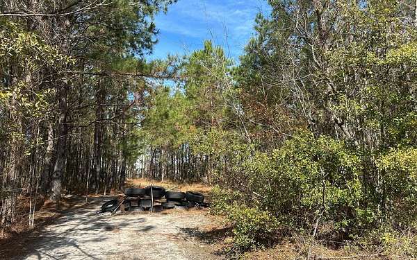 1 Acre of Commercial Land for Sale in Lake City, Florida