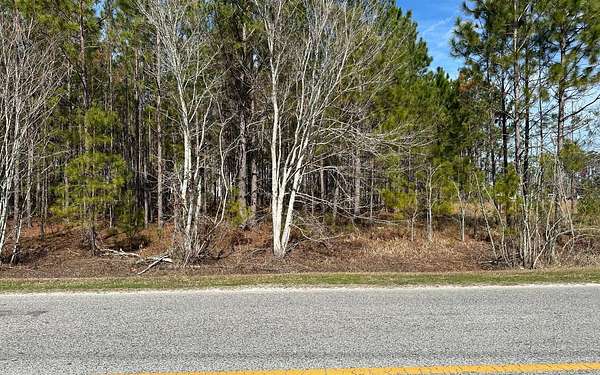 1 Acre of Commercial Land for Sale in Lake City, Florida