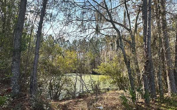 2 Acres of Commercial Land for Sale in Lake City, Florida