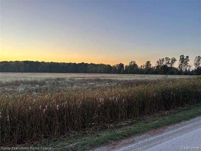 20 Acres of Land for Sale in Greenwood Township, Michigan