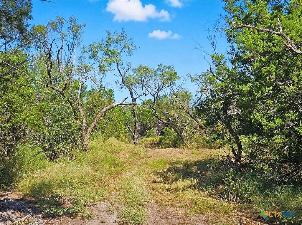 22 Acres of Improved Recreational Land for Auction in Purmela, Texas