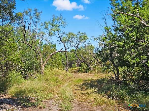 22 Acres of Improved Recreational Land for Auction in Purmela, Texas