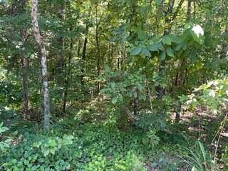 1 Acre of Residential Land for Sale in Jackson, Tennessee