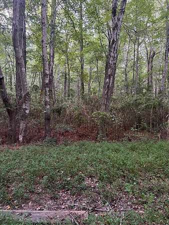 Residential Land for Sale in Chesapeake, Virginia