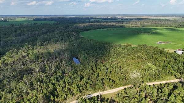 155 Acres of Land for Sale in Hazlehurst, Georgia
