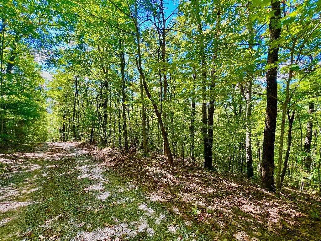 6.44 Acres of Land for Sale in Ellijay, Georgia