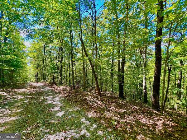 6.44 Acres of Residential Land for Sale in Ellijay, Georgia