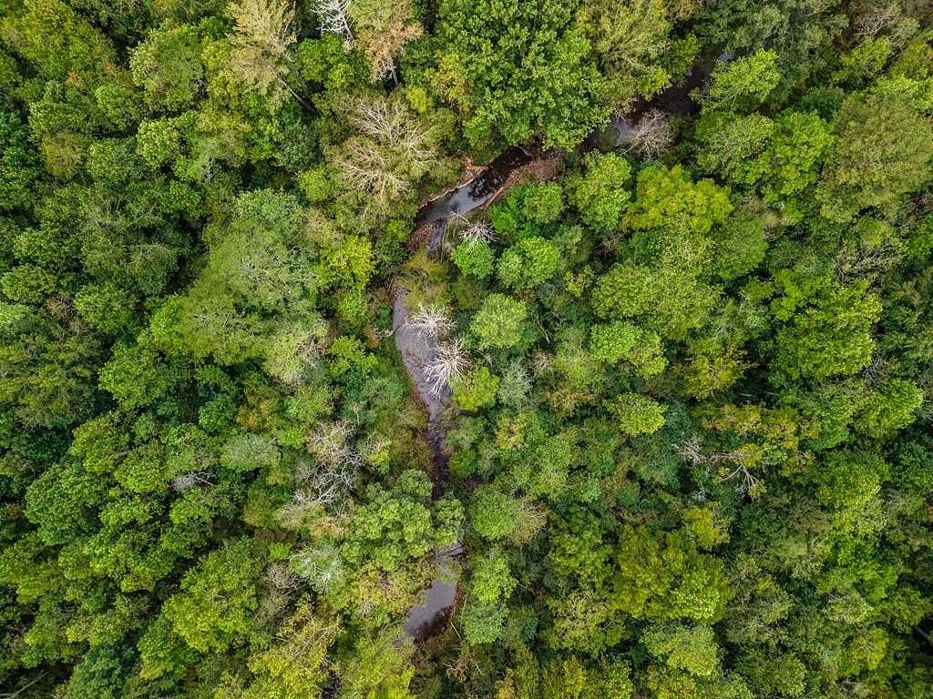 3.1 Acres of Land for Sale in Ellijay, Georgia