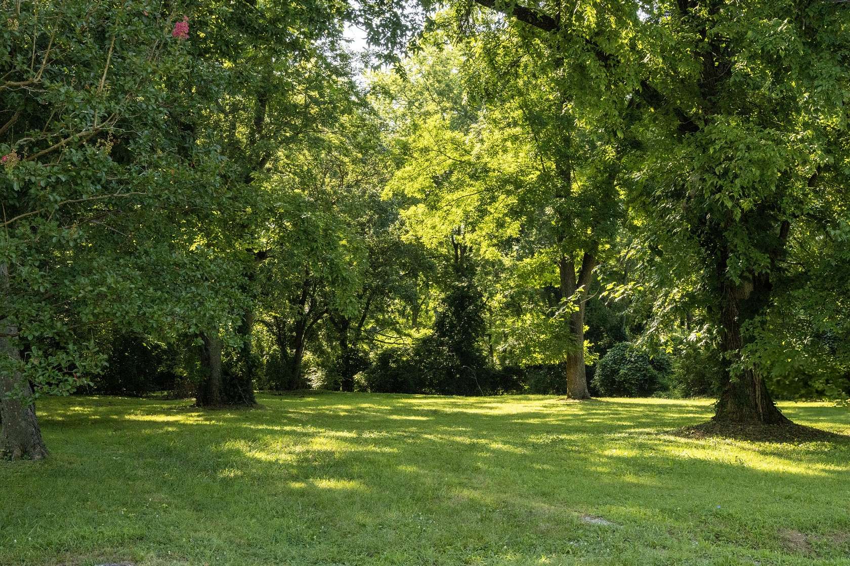 0.58 Acres of Residential Land for Sale in Madison, Tennessee