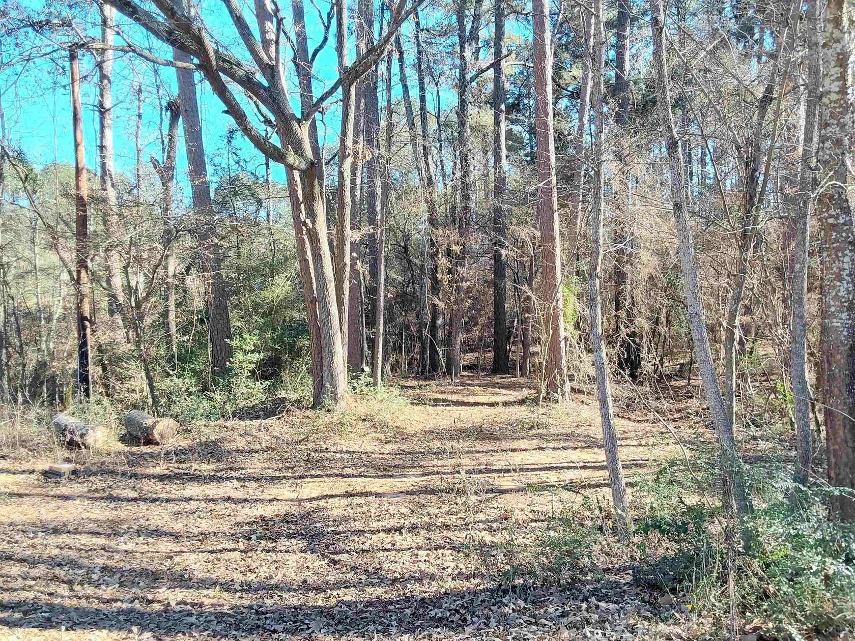 5.34 Acres of Mixed-Use Land for Sale in Tatum, Texas