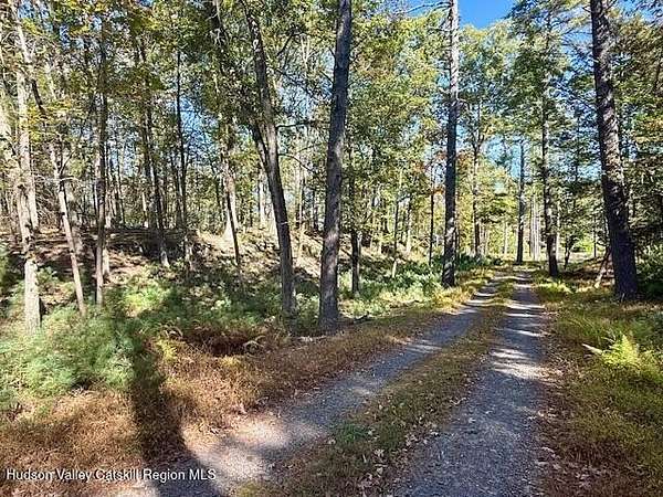 24.7 Acres of Land for Sale in Kingston, New York