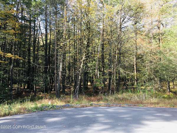 0.84 Acres of Residential Land for Sale in Pocono Lake, Pennsylvania
